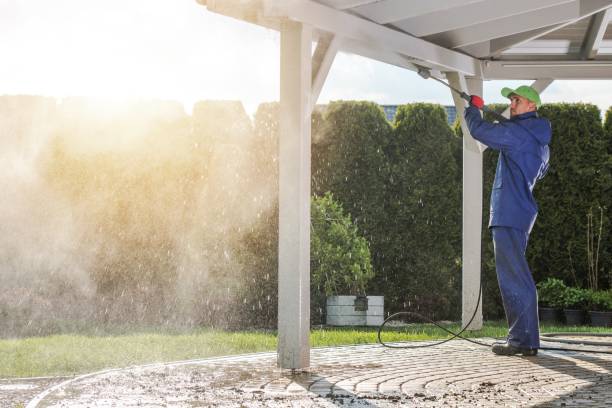 Best Soft Washing  in Roseville, OH